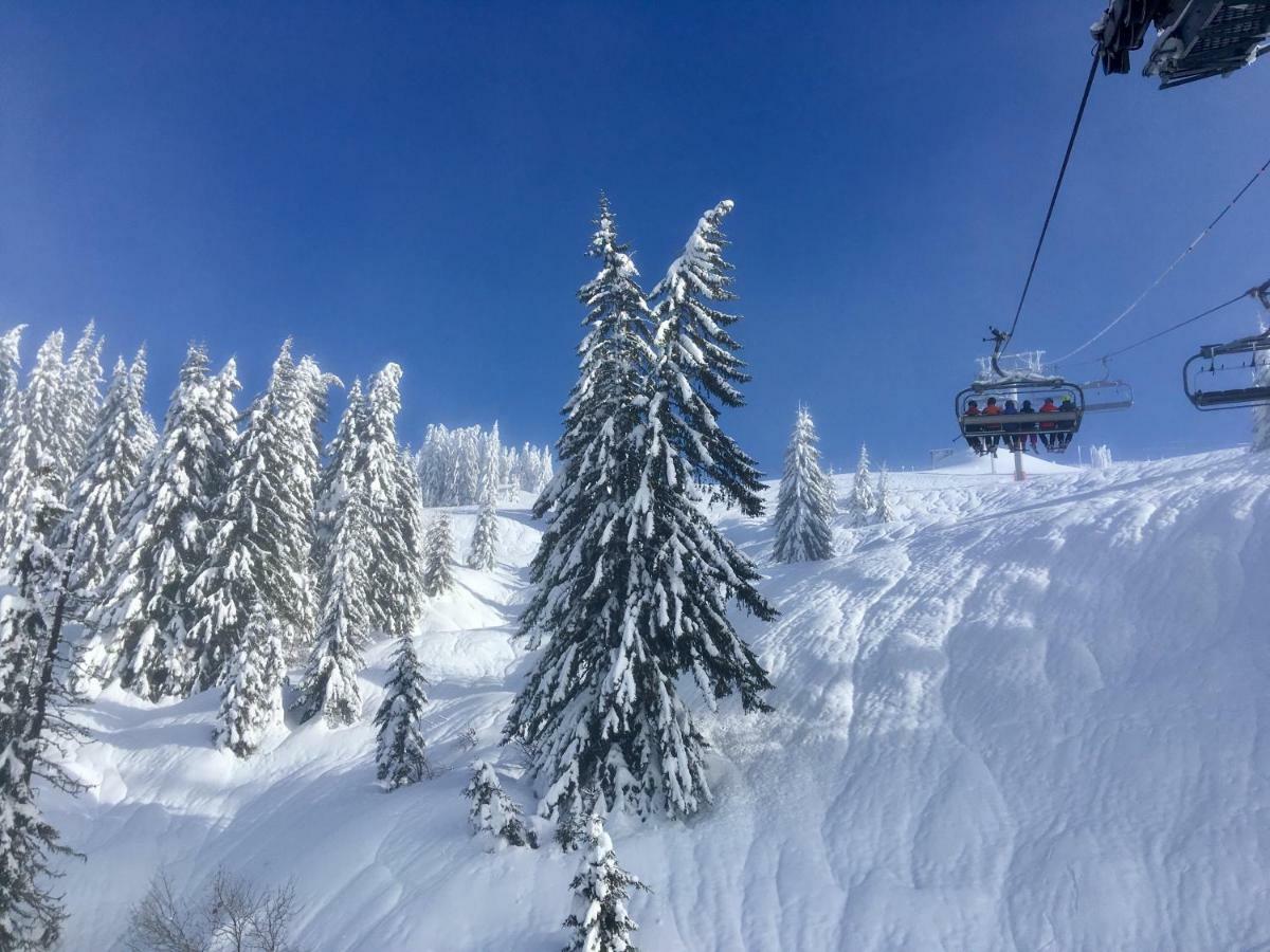 Chalet Marmotte 2 Морзин Екстериор снимка