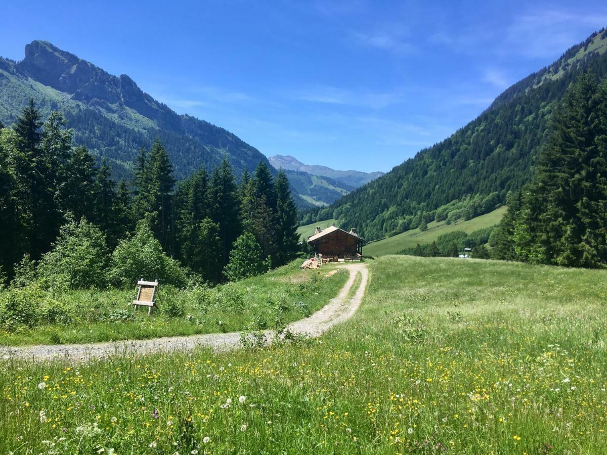 Chalet Marmotte 2 Морзин Екстериор снимка